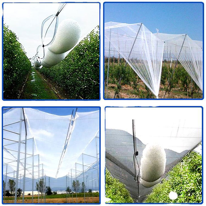 Fruit Tree Plastic Neting Hail Protection Anti-Hail Net